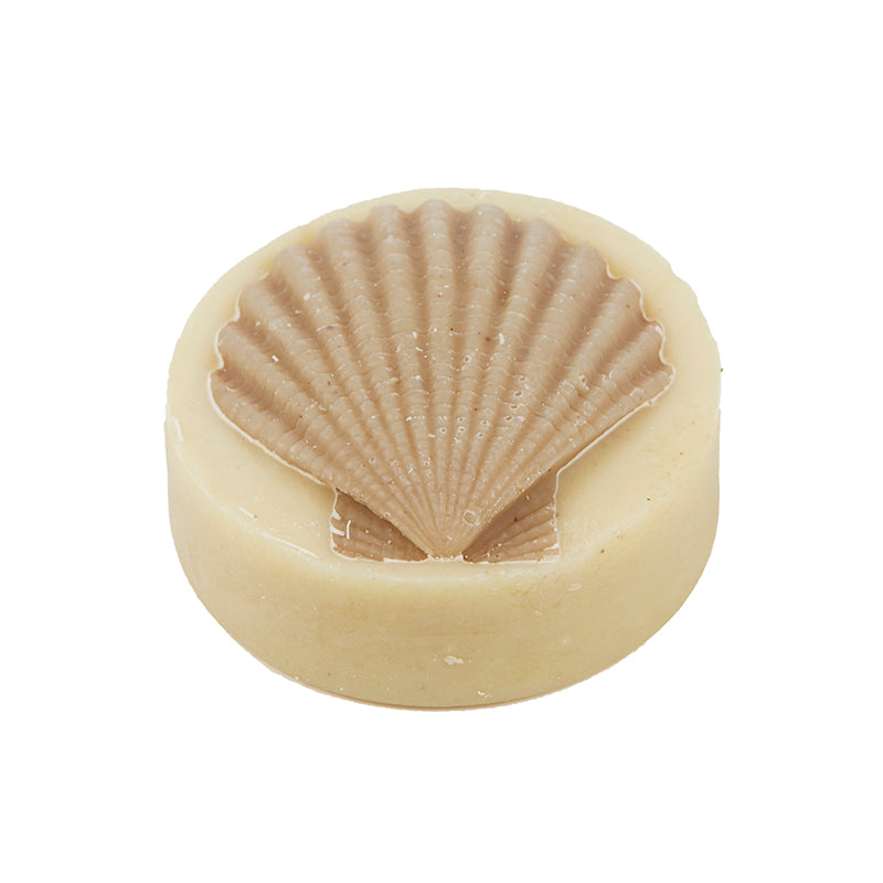 assorted shell soaps #2213 (rrp $9) x 6 pk